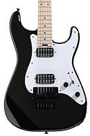 Solidbody Electric Guitar with Alder Body Floyd Rose Tremolo - Gloss Black 2 Humbucking Pickups Maple Fingerboard Maple Neck