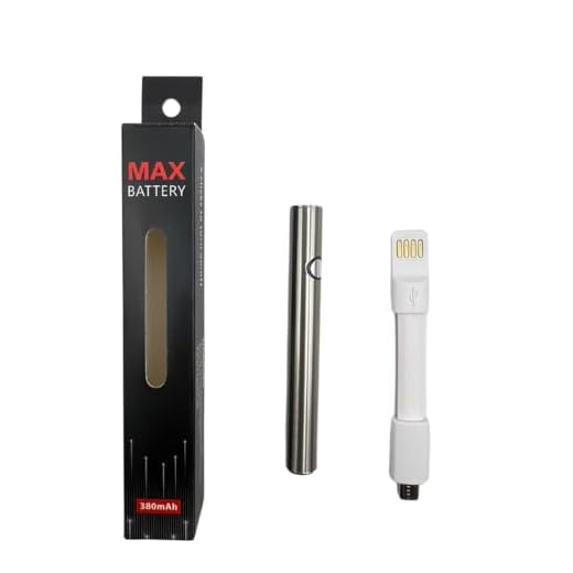 Vape Pen Battery Starter Kit Rechargeable for 510 Thread Cartridges Stick USB Variable Voltage 380 mAh Vaporizer for CBD and Thick Oil Electronic Vaporizer No Nicotine (Silver)