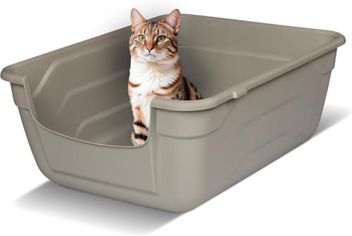 Snugsy Katzenklo mit Hohem Rand - L - Offene Katzentoilette ohne Deckel - Leicht zu Reinigen - Beige 50 x 38,5 cm