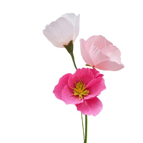 Pink Crepe Paper Poppy Bouquet Making Kit 24 pcs DIY Craft Set for Home Decor & Events Complete Craft Materials for Floral Art