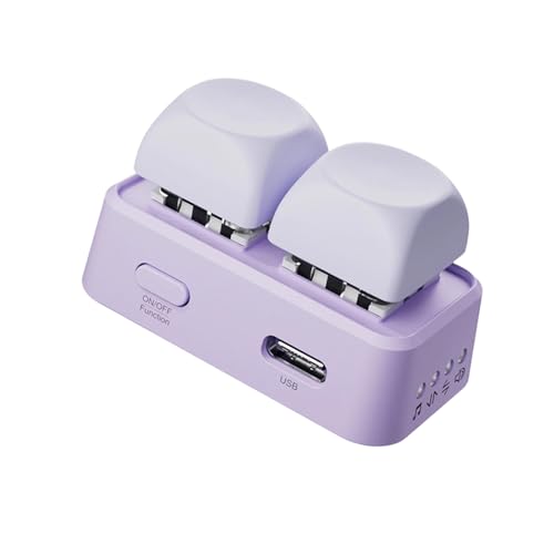HANLINYUE Free2 Bluetooth Page Flip with Built in Non Removable Lithium ion Battery (Free2 Purple Android e-Book Reader Version)