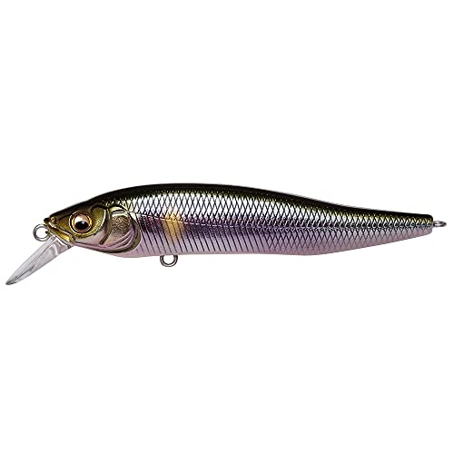 Megabass X-NANAHAN Japanese Silver ITO Ayu