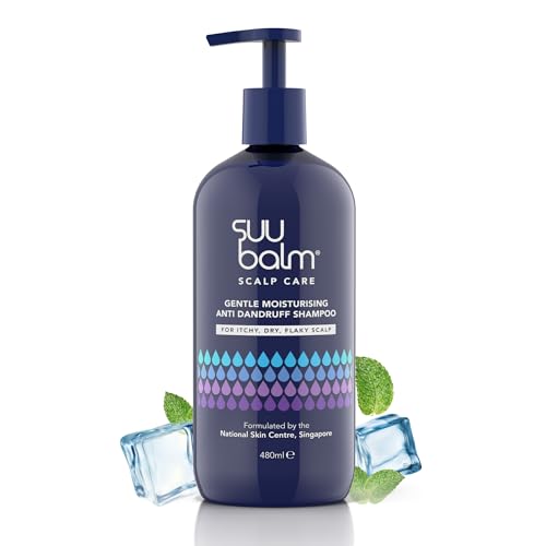 Gentle Moisturising Anti Dandruff Shampoo, Anti-Dandruff Shampoo, Dry, Flaky, Itchy Scalp Treatment, Cooling Menthol for Rapid Itch Relief, Seborrheic Dermatitis Shampoo, Soap & Sulfate Free (480ml)