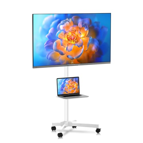 XINLEI Soporte TV Ruedas, Móvil para TV de 21 a 60 Pulgadas de Plasma/LCD/LED, con Estante de Altura Ajustable, Soporta hasta 35KG, Máx VESA 400x400mm - ML55AW