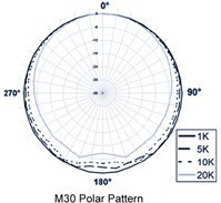 Amazon.co.jp: 【正規輸入品】 Earthworks M30 コンデンサーマイク