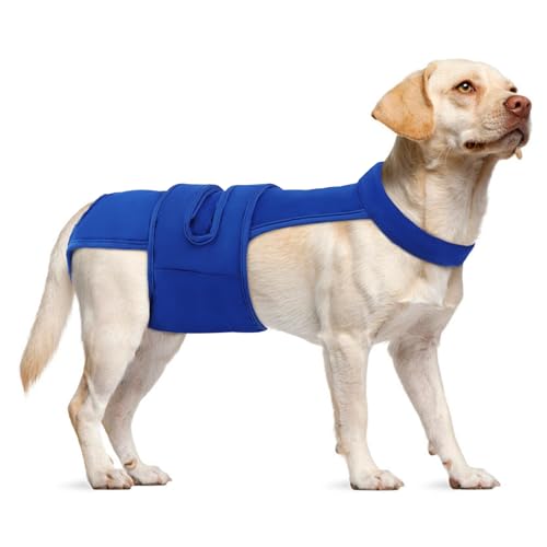 Image of Dog Diapers Female Reusable Washable Period Diaper with Suspender,Adjustable Dog Panties Anti-Harassment, Doggie Diapers for Incontinence, Heat Cycles, or Senior Dogs（XS-XL