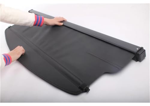 Couverture cargaison Hyundai Santa Fe 2008 rideau sécurité