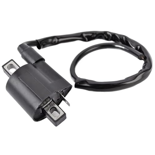 Bobina de encendido para motocicleta DT50 y modelos con sistema de arranque 5TA-82310-00