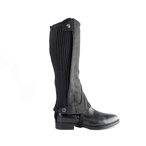 HyLAND Adults Amara Half Chaps (M) (Black)