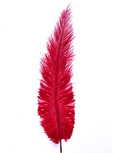 Ostrich Feathers - 10" - 12" / 25cm - 30cm - Pick Quantity / 25 Colours (Red, 2 x Ostrich Feathers)