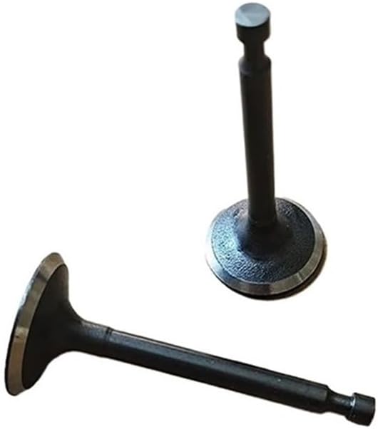 1 Pair Tillage Machine Intake Valve and EXHUAST Valve Fit for VP200 XP200