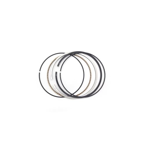 Piston Ring ZS174MN-3 segment haute résistance pour cylindre CBS300