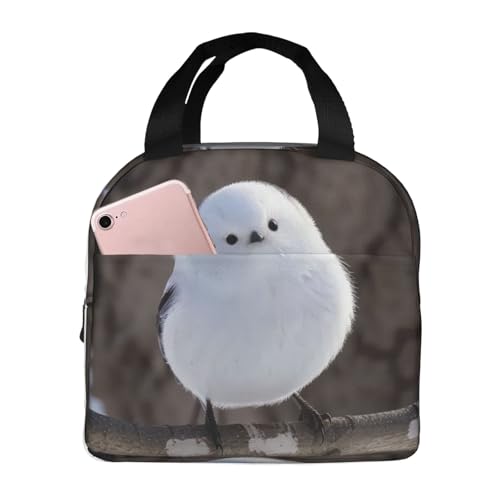 `obO V}GiK  ۗ ۉ ٓobO  RpNg O|Pbgt ~jg[gobO p肳obO fB[X Y ʋ ʊw s fB[X Y qp