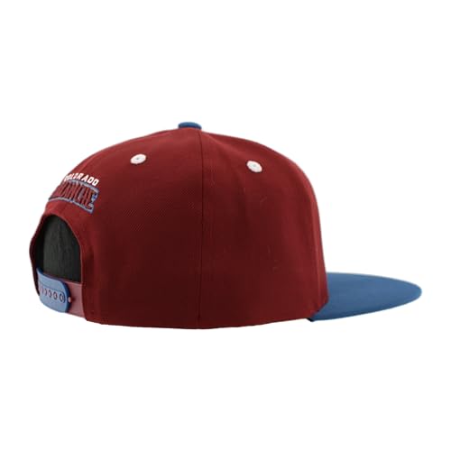 Image of ZHATS NHL Unisex-Adult NHL Officially Licensed Adjustable Snapback Hat Flat Bill Z11 Icon Two Color