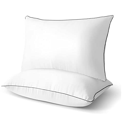 Top 10 Organic Pillows of 2022 Best Reviews Guide