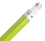 (10pcs) F13T5/CW 13-Watt T5 Fluorescent 21