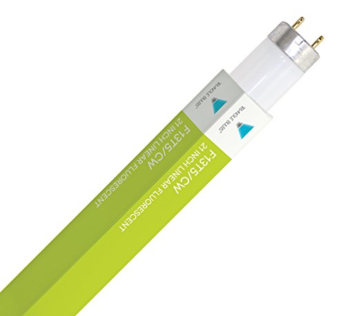 (10pcs) F13T5/CW 13-Watt T5 Fluorescent 21