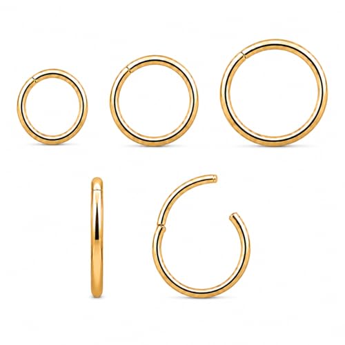 Genérico Piercing Clicker de Acero Inoxidable, Pack3 Piezas 6 mm,8mm y 10 mm, Grosor,1,2mm, para Séptum,Helix y Tragus (Dorado)