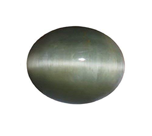 ChFM7.25beB6.00JbgA+iVRLbgACtXjAPgD[XWFXg[fB[XƃY-B0C74SV7VM