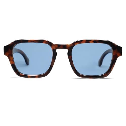 Image of VANLINKER Retro Vintage Polarized Trendy Small Square Sunglasses for Women Men 2025 Fashion Shades VL9858