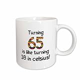 3dRose mug_184964_1 Turning 65 is Like Turning 18 in Celsius-Humorous 65Th Birthday Gift, Ceramic Mug, 11-Ounce