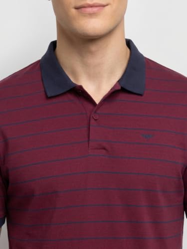 Image of Park Avenue Men Slim Fit Stripe Pattern Pure Cotton Polo Neck Half Sleeve Casual T-Shirt