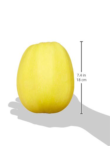 Organic Spaghetti Squash, 1 Each
