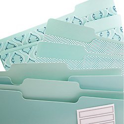 See Jane Work(R) File Folders, Letter Size, 1/3-Cut Tabs, Blue Print, Pack Of 6
