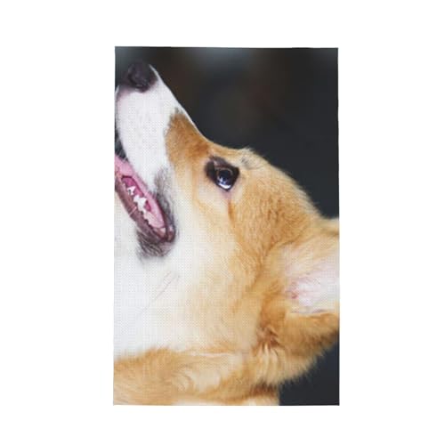 btLb`^I̓}CNt@Co[ŁAzAARېɗDĂ܂i̒F̍KȎq̃EFVR[M[j