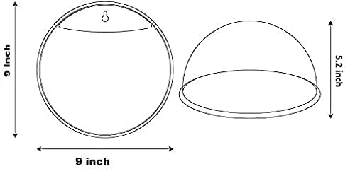 Image of TWINS TWINS Wall Hanging Fish Bowl Acrylic White Colour with Free Money Plant and Color Stones (9Inch)(White)(Standard Size)