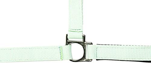Hkm Hkm 4000315614066 - Cavezza Softice 5298 Milky, Colore: Verde Acqua