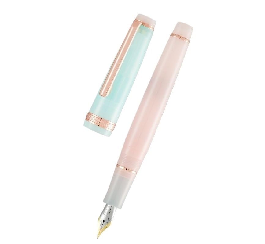 Stylo plume de poche or rose plume fine F ecriture calligraphie