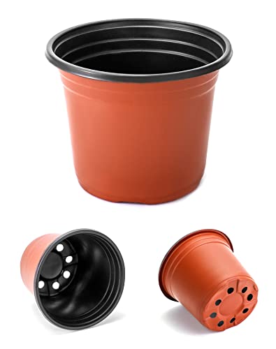 QWORK® 100PCS Plastic Plant Pot 6"/15cm, Thick Wall with Drainage Holes - Plants Nursery Pot Seed Starting Pots - Image 2