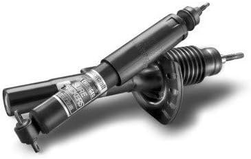 Motorcraft - Shock Absorber Asy (ASH12289)
