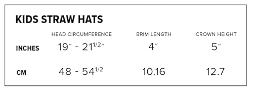 S A Company Kids Straw Hat Summer Beach Hat Girl & Boy Sun Hat For Uv Rays And Sun Protection For Outdoor Activities (Baby Shark) #TOP4