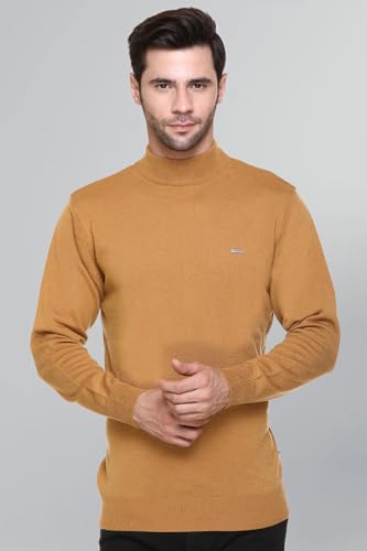 Image of GODFREY Woolen Full Sleeve Sweaters for Men Winter Wear - Turtle Neck Pullover for Men Stylish