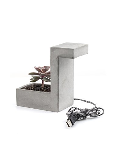 Preisvergleich Produktbild Kikkerland PL03-EU Beton-Leuchte mit Pflanzgefäss für den Tisch