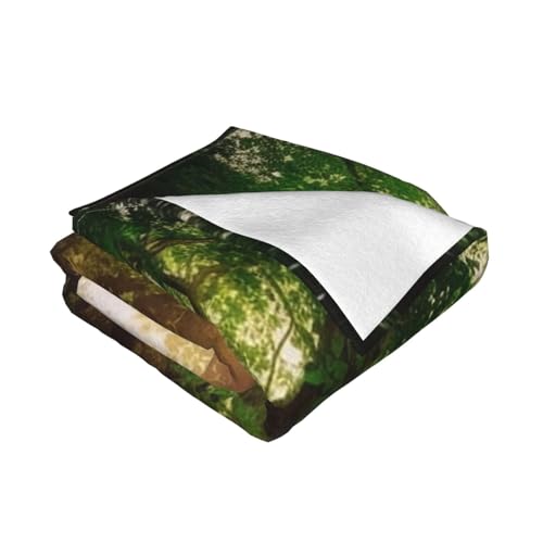 Couverture pour canapé idéale pour vos soirées cocooning salon