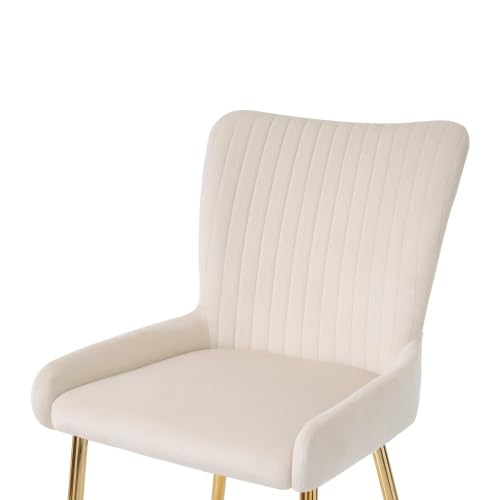 vutizal Chaise Salle à Manger, Chaises Salle Manger Lot de 6, Chaise Beige en Samt, Pieds Métalliques Dorés, Confort Lounge avec Support Lombaire, Solide 150kg, Facile à Monter pour Salon Cuisine