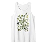 Vintage Juniper Tree