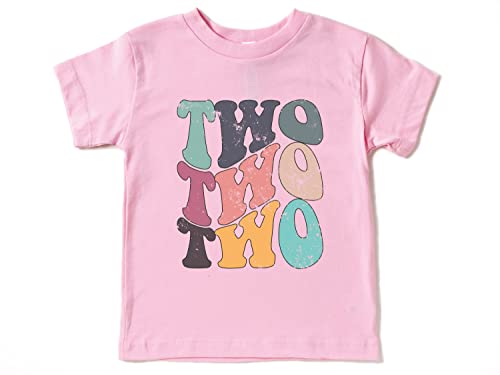 Two Year Birthday Shirt, Toddlers 2nd Birthday Shirt, Groovy Two Year Shirt2