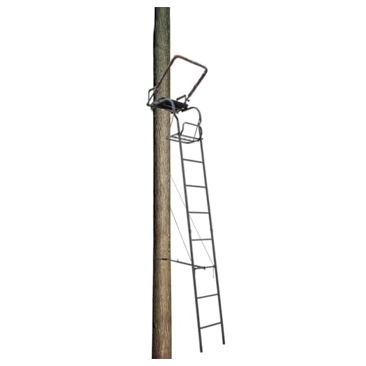 Big Dog Hunting Trail Breaker Ladder Tree Stand with Padded Flip Up Shooting Rail, 16', Grey