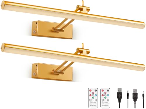 Mocalido 2 Pack Picture Light Battery Operated for Wall, 16in Wireless LED Art Light for Painting with Remote, 5200mAh Dimmable Frame Lights for Gallery Library, Brass