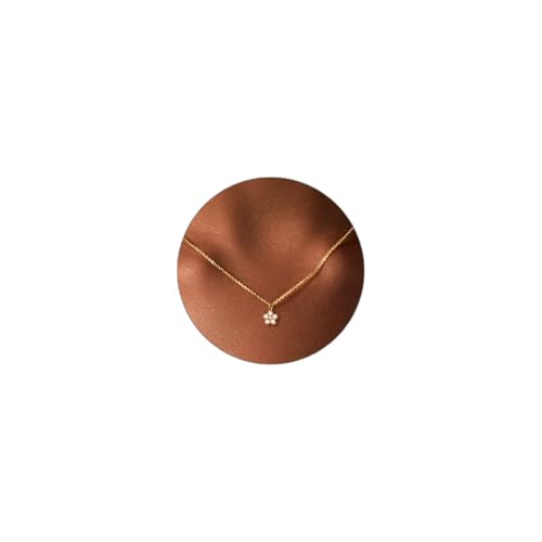 Luxval Gold Necklace Dainty Flower Necklace 18k Gold Plated Diamond Pendant Necklaces Simple Cute Cubic Zirconia Choker Necklaces for Women Trendy Jewelry Gift for Women