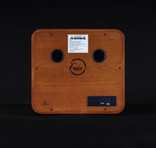 Fuse Vintage Retro Bluetooth AM/FM Radio Speaker + Real Handcrafted Wood Exterior - (RAD-V1)