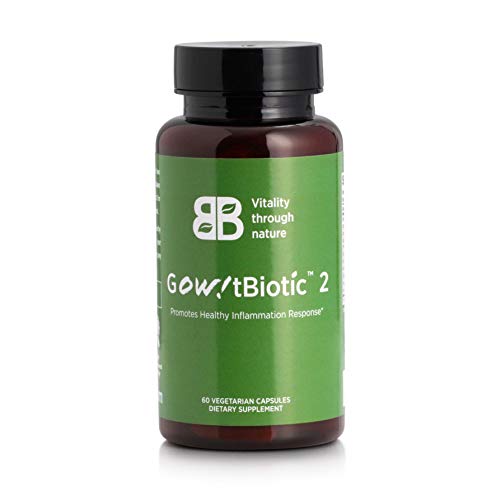 Gow!tBiotic 2 Uric Acid Support â€“ Organic Herbal Dietary Supplement for Joint Pain Flare-Ups â€“ Helps Reduce Inflammation Promotes Joint Comfort and Normal Kidney Function â€“ All-Natural Vegan Capsulesâ€¦