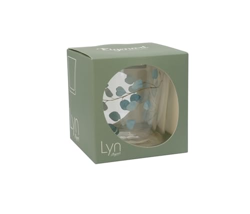 Verre borosilicate Eigenart Lyn double paroi isolant Eucalyptus - 4