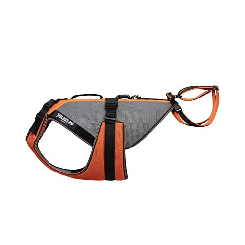 Julius-K9 JK9 Multivest XL chaleco naranja para excursiones y paseos 2