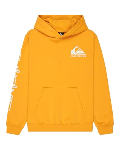 Sweat Quiksilver Omni Logo Hoodie garçon parfait après le surf