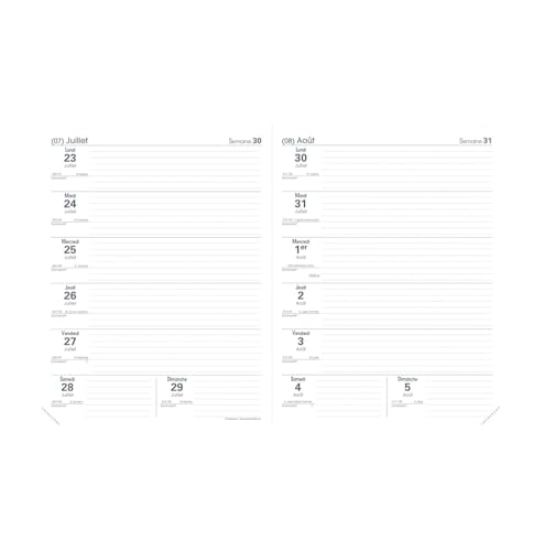 Quo Vadis - Lehrerkalender – 2025 – 2026 – Le Professeur – Wochenkalender horizontal – Französisch – Grafik – 12 Monate von Mitte Juli bis Mitte Juli – 21 x 27 cm